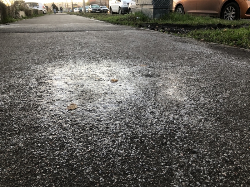 Жителей Ленобласти предупредили о заморозках 30 мая