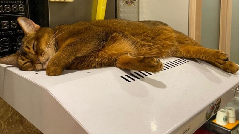 Жители целого района Петрозаводска до сих пор остаются без отопления