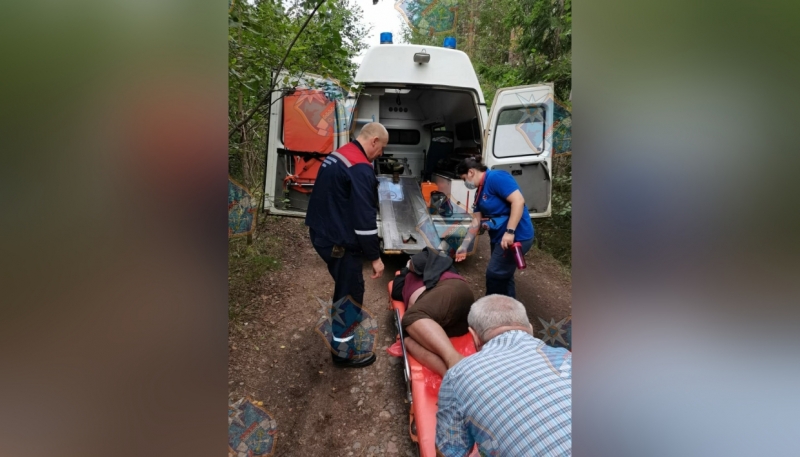 Змея укусила женщину у деревни Матокса