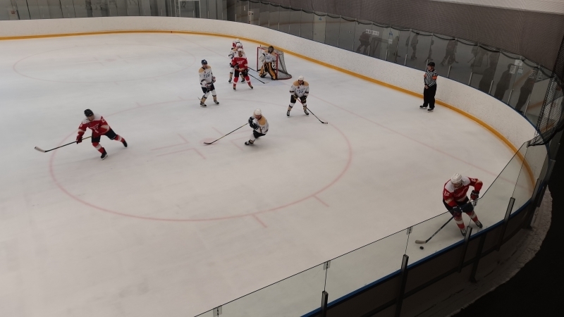 Звезды Петербурга и Москвы сыграли хоккейный матч в поддержку Олимпийской сборной